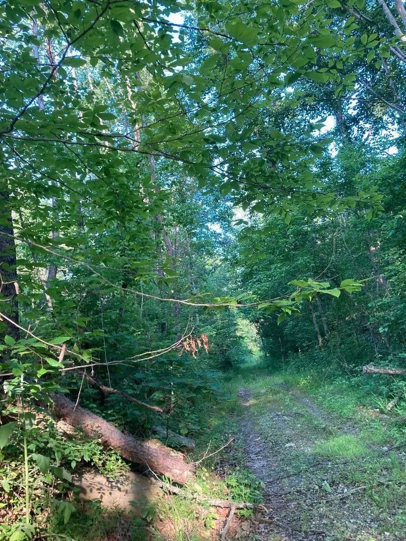 Property from 0 Buck Run - KW - Greenup, Kentucky, 41144