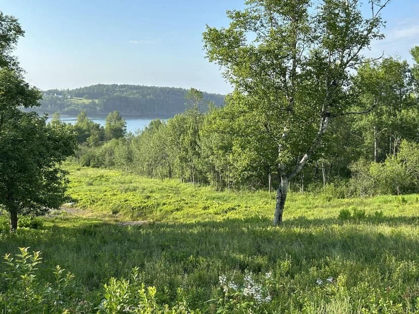 Land -Single Family Acreage in Eastport