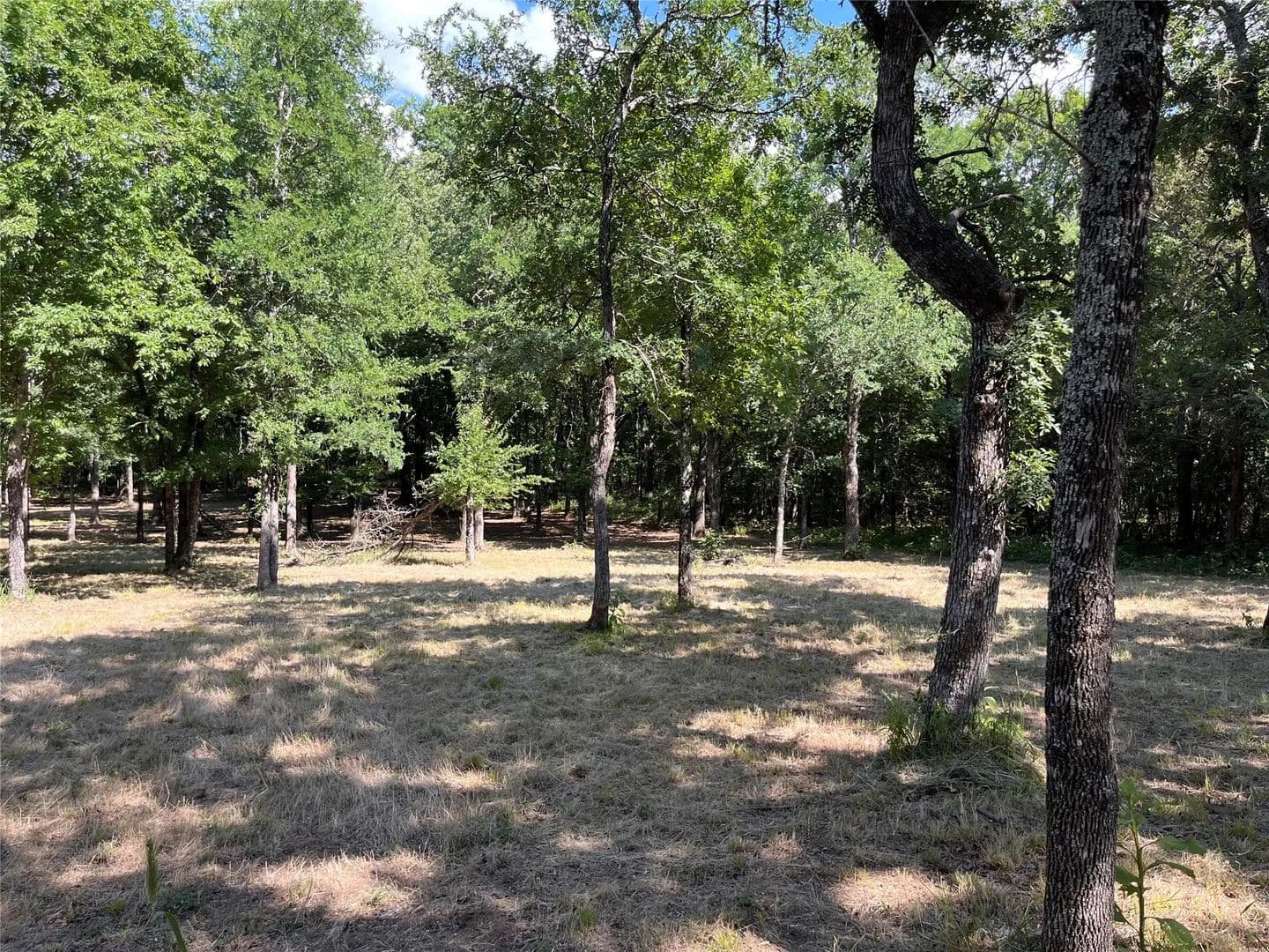 2.01 Acres of Land for Sale in Bowie, Texas - Bowie, Texas, 76230