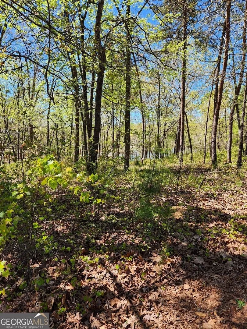 Vacant Land (0-10 Acres) in Hartwell