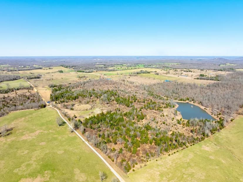 80 +/- Acres with a 5 +/- Acre Pond, Woods/Pasture, Viola, Arkansas