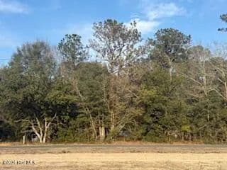 Vacant Land in Evergreen - Evergreen, North Carolina, 28438