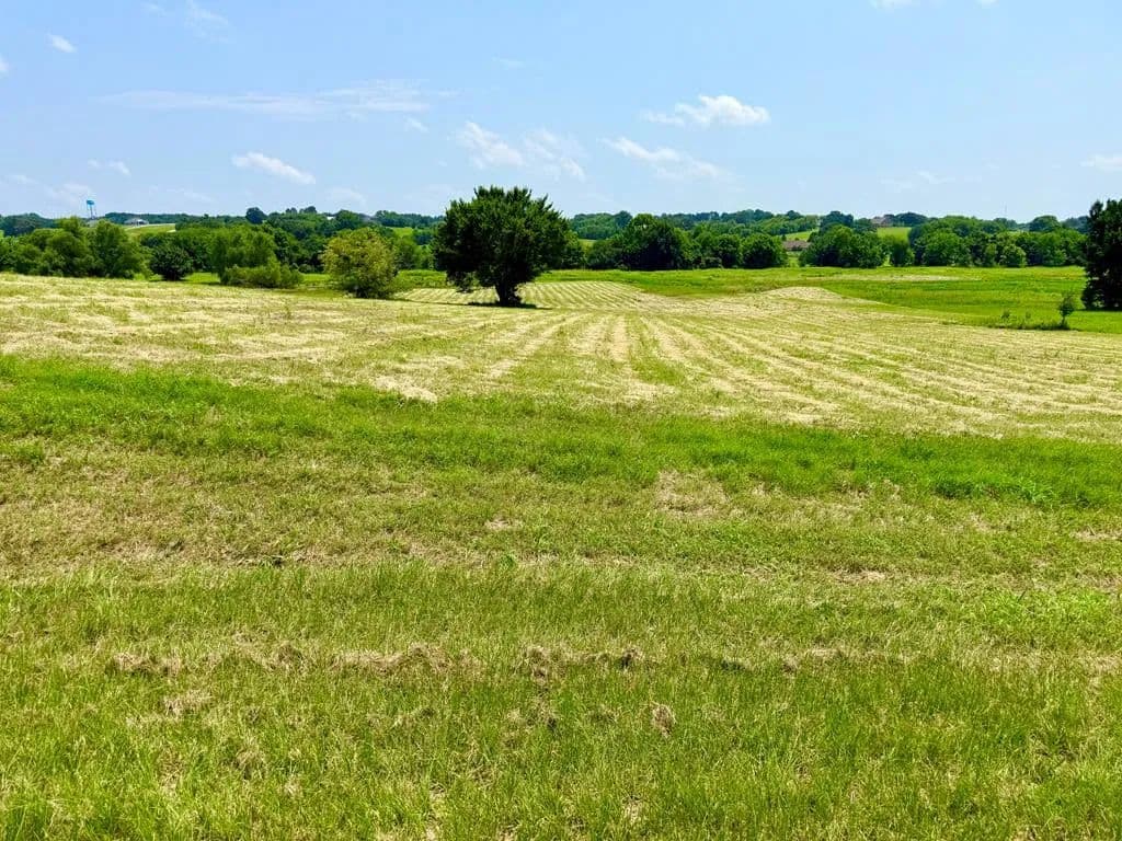 5.06 Acres of Land for Sale in Athens, TX - Athens, Texas, 75752