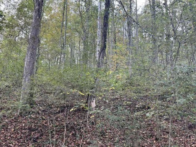 Lots & Land-Other in Londonderry