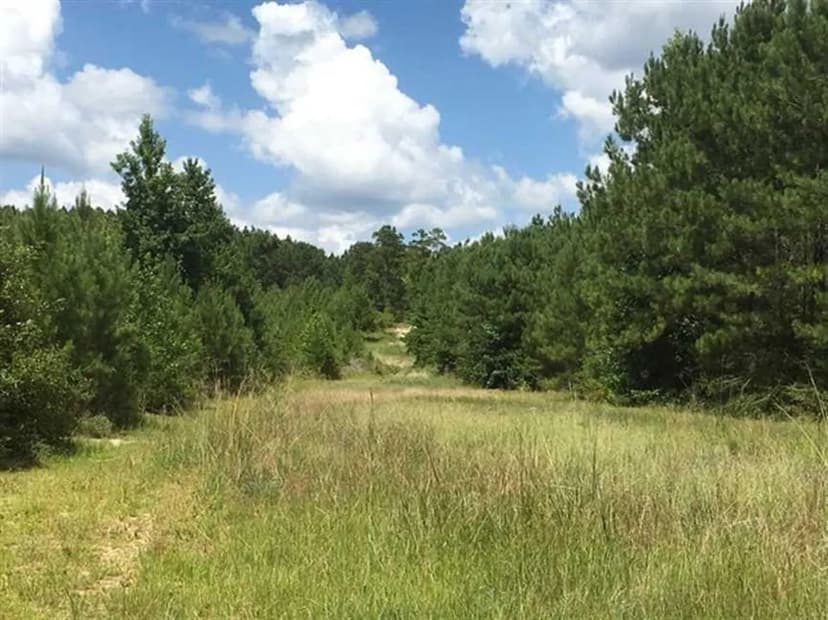 Beckom Tract, Sabine Parish, 191 Acres +/-