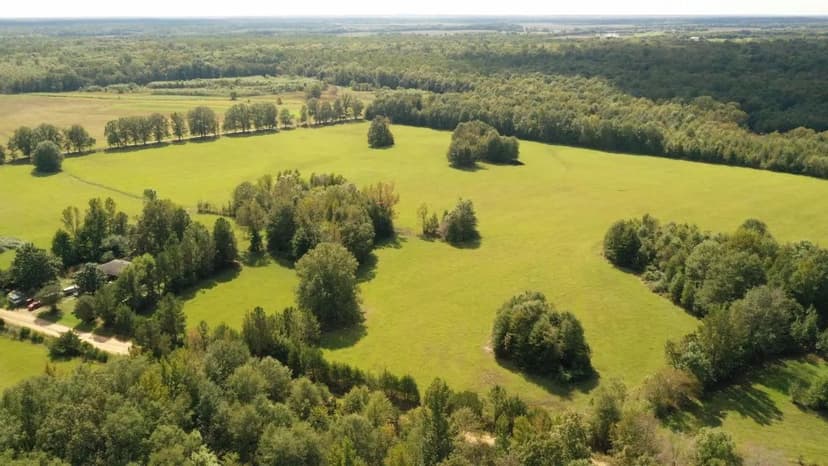 Duck Paradise - Chuquatonchee Creek