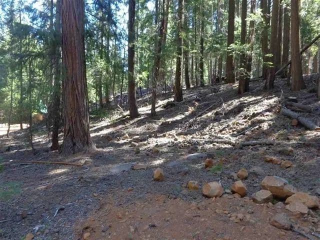 Vacant Land in Canyon Dam - California, 95923