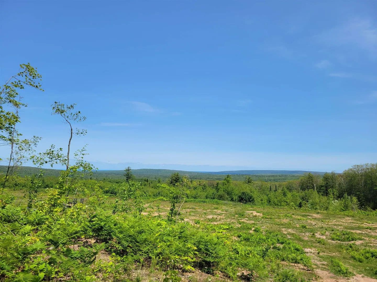 Vacant Land in Bayfield - Bayfield, Wisconsin, 54814