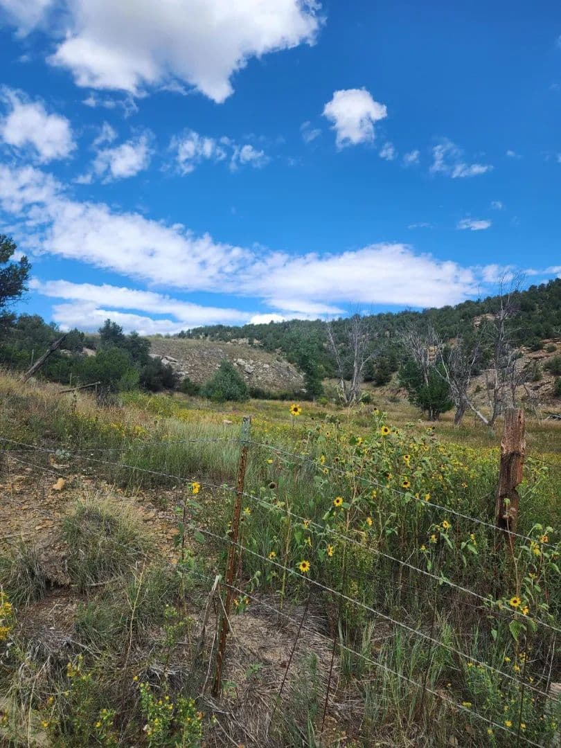 TBD Colorado 12, Trinidad, CO 81082 - Trinidad, Colorado, 81082