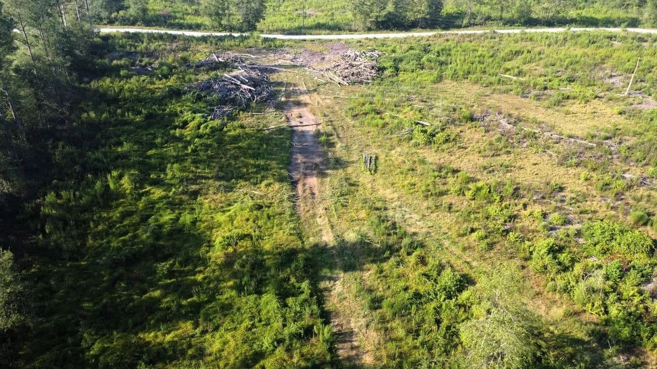 5.1 Acre Homesite Marion County - Columbia, Mississippi, 39429