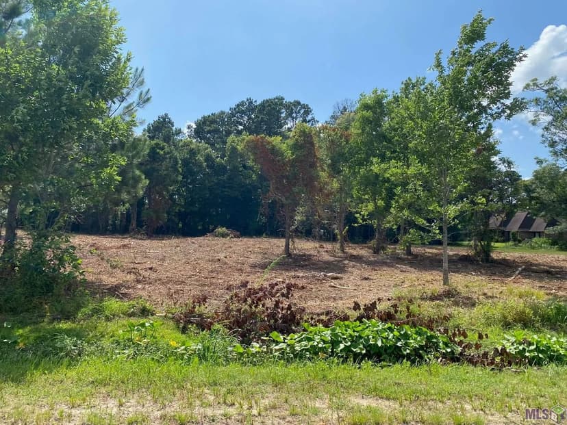 Property from 18383 Amite Acres Dr - KW