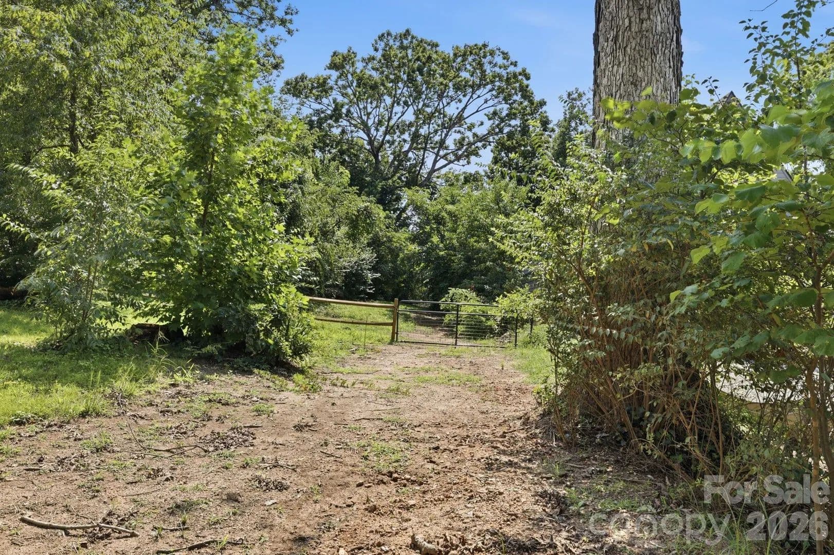 0.25 Acres of Land for Sale in Asheville, NC - Asheville, North Carolina, 28804