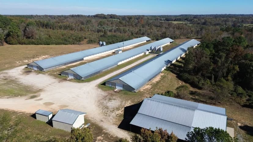 Robinson Broiler Farm