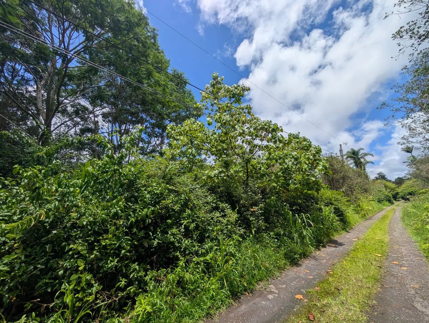 Vacant Land in Mountain View - Mountain View, Hawaii, 96771
