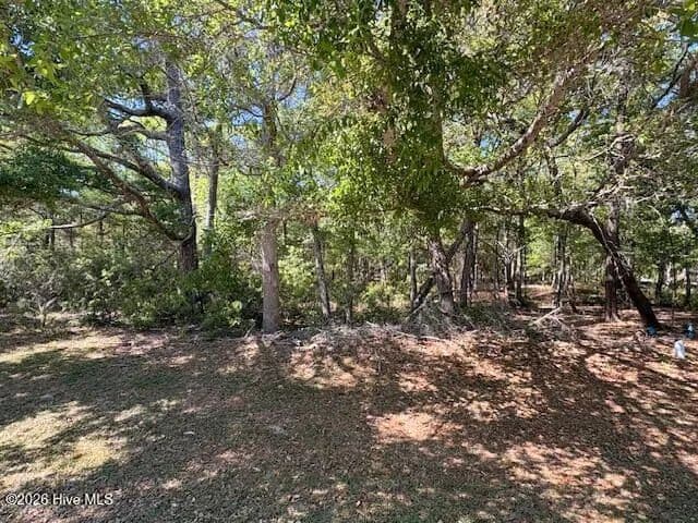 Vacant Land in Supply - Supply, North Carolina, 28462