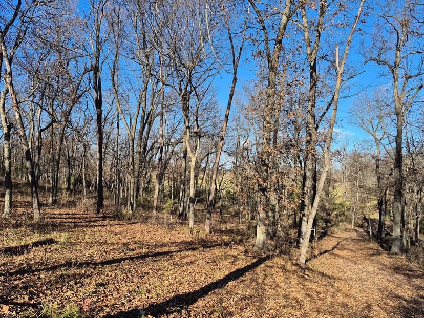 Prime 24±-Acre Mini-Farm & Recreational Oasis – Callaway County