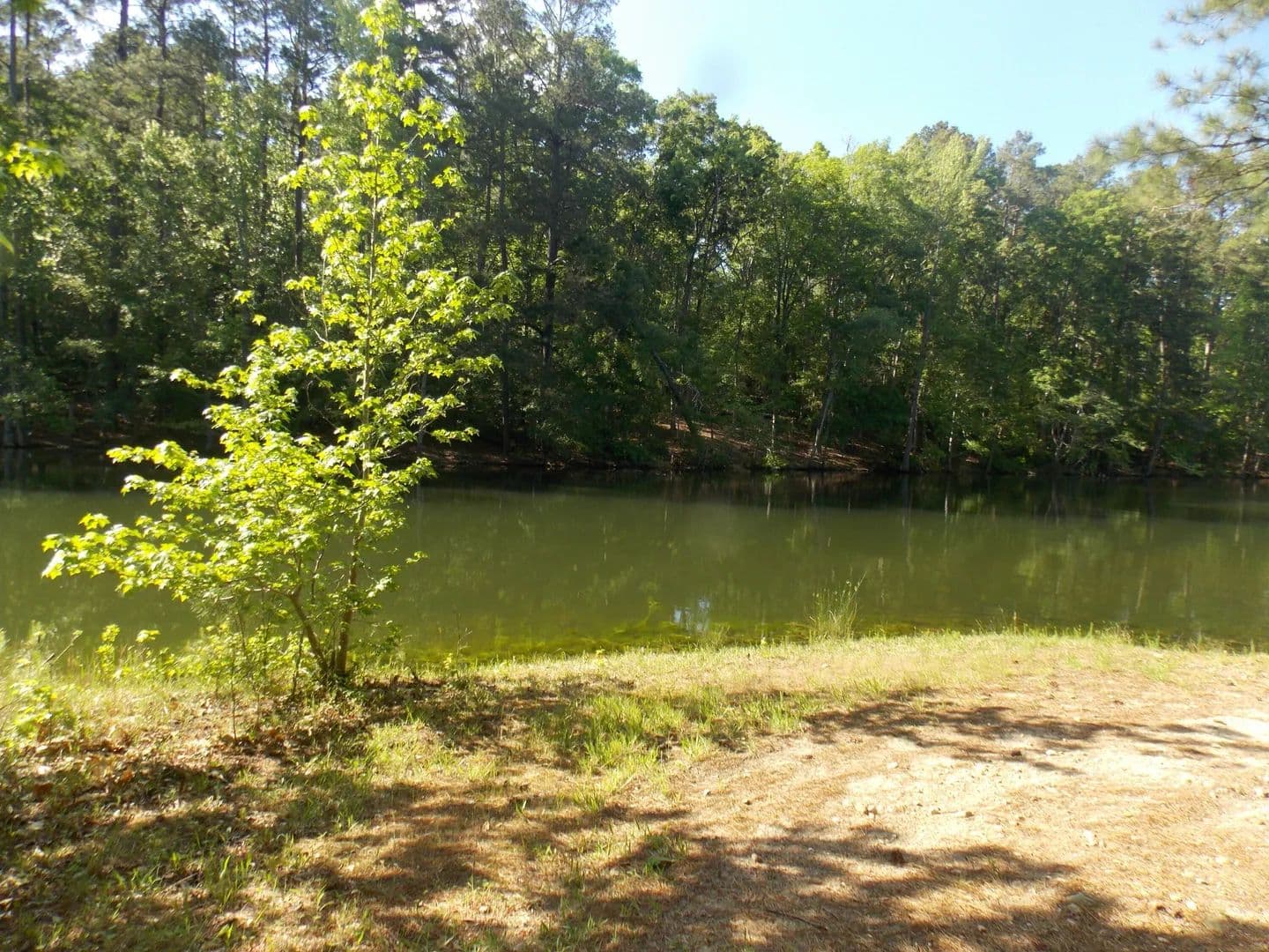 Lots & Land-Other in Lincolnton - Lincolnton, Georgia, 30817