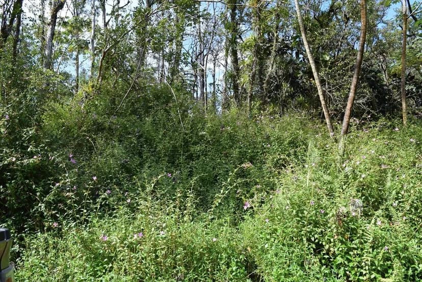 Lots & Land-Other in Pahoa