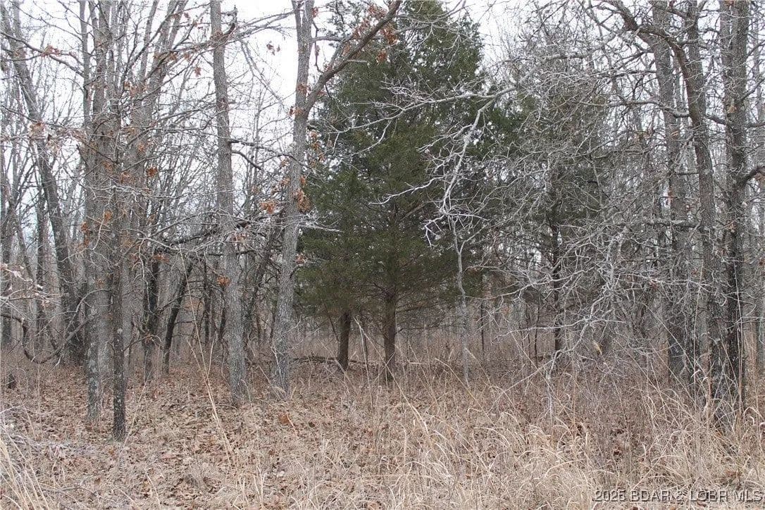Lots & Land-Other in Edwards - Edwards, Missouri, 65326