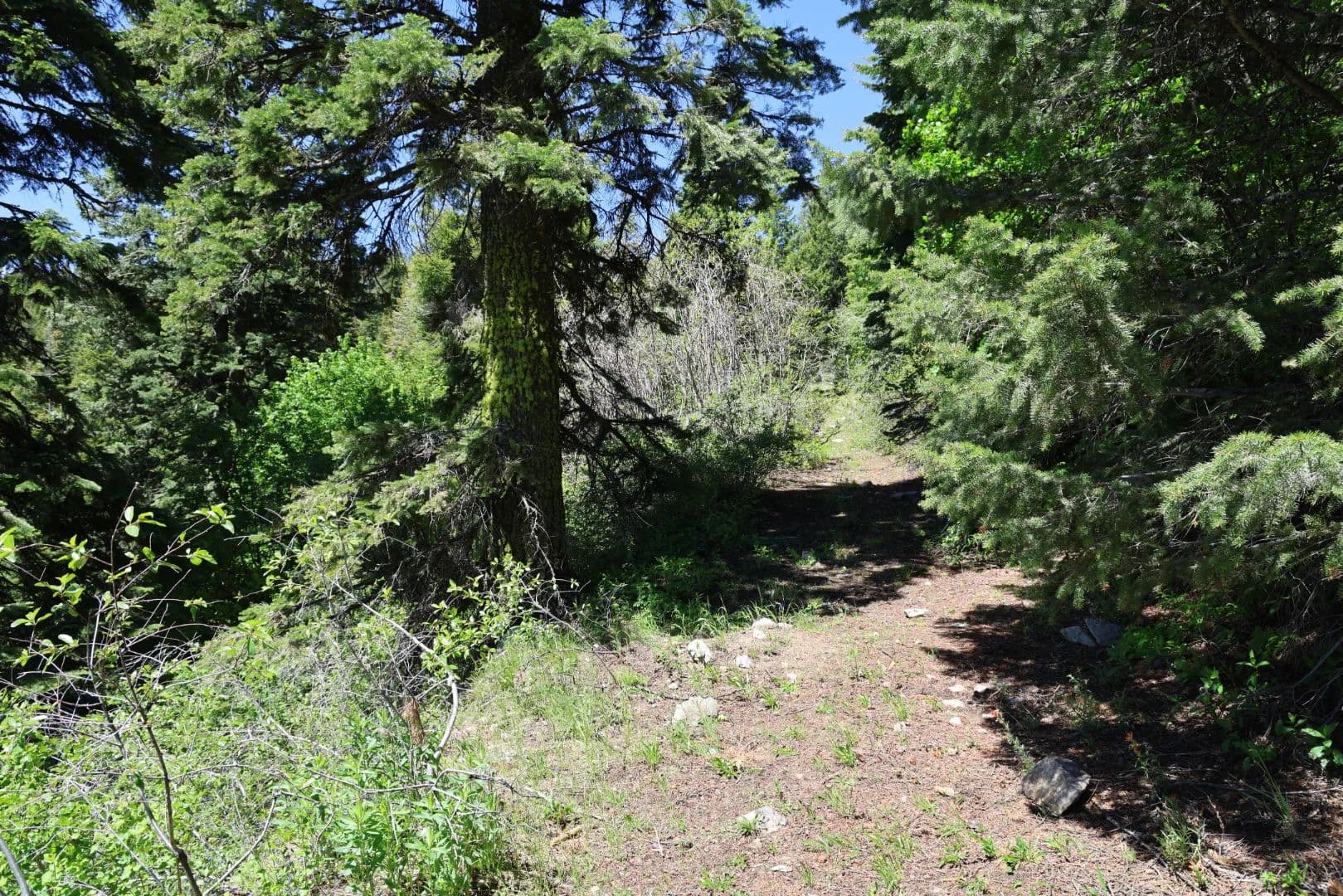 Camp Creek Recreation Land - Cuprum, Idaho, 83612