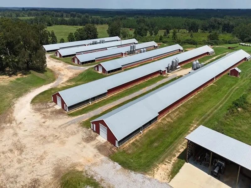 Ricky’s Pullet Farm – Six House Farm in Covington County, Alabama - Andalusia, Alabama, 36421