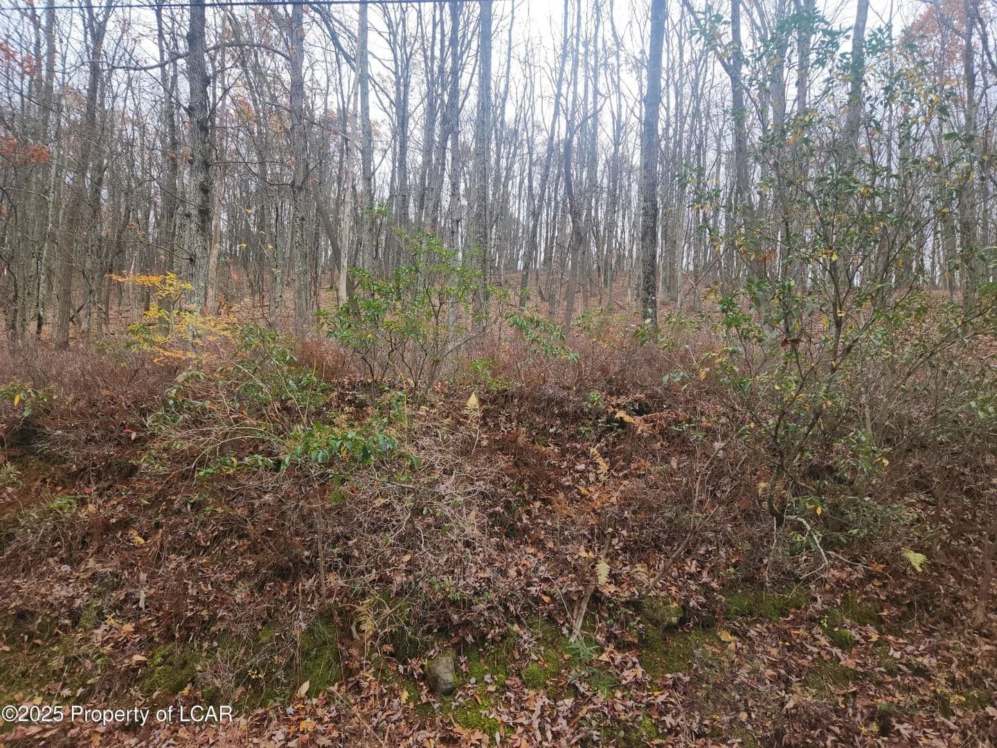 Lots & Land-Other in White Haven - White Haven, Pennsylvania, 18661