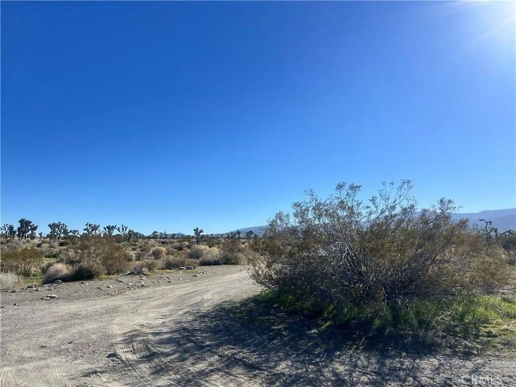 Lots & Land-Other in Pinon Hills - Pinon Hills, California, 92372