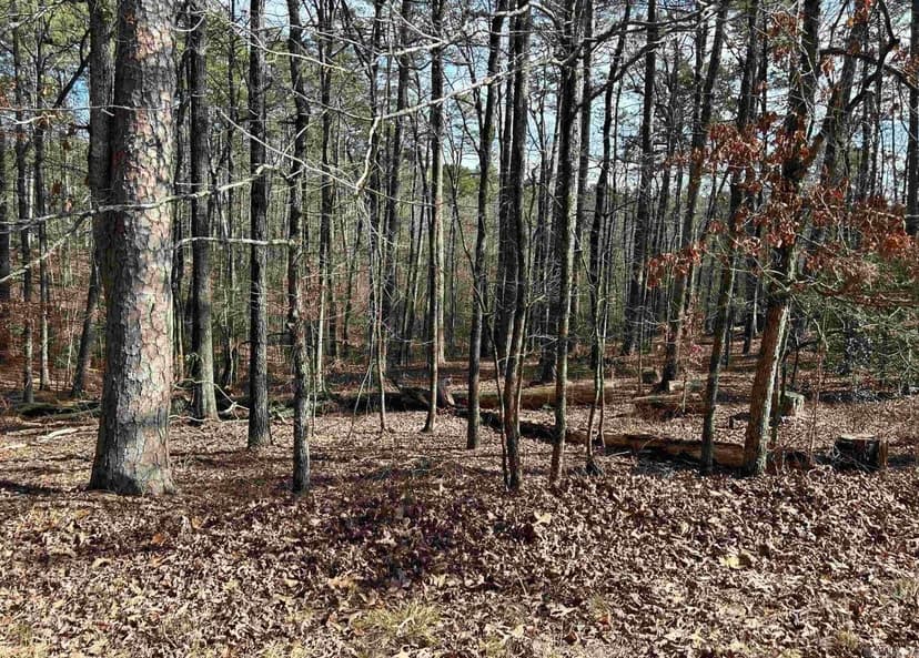 Lots & Land-Other in Hot Springs Village