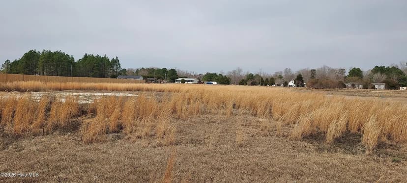Vacant Land in Maysville