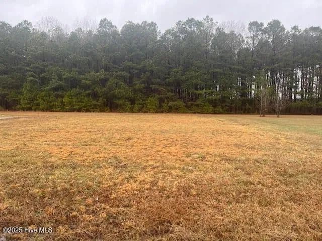 Lots & Land-Other in Rich Square - Rich Square, North Carolina, 27869