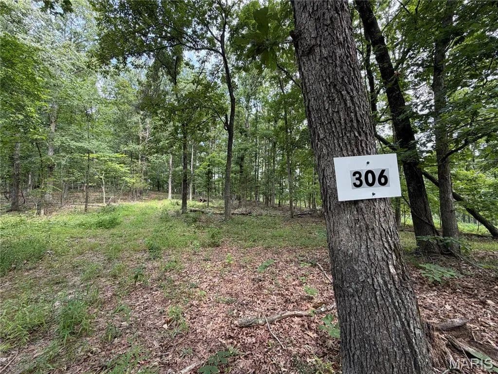 Lots & Land-Other in Fredericktown - Fredericktown, Missouri, 63645