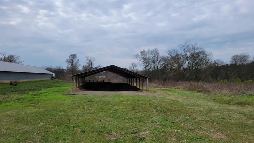 Property from 305 County Road 250 - KW