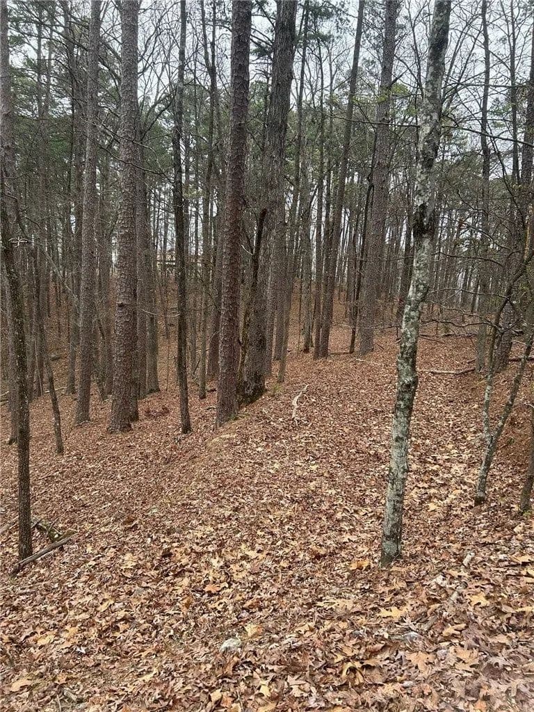 Lots & Land-Other in Hot Springs - Hot Springs, Arkansas, 71909