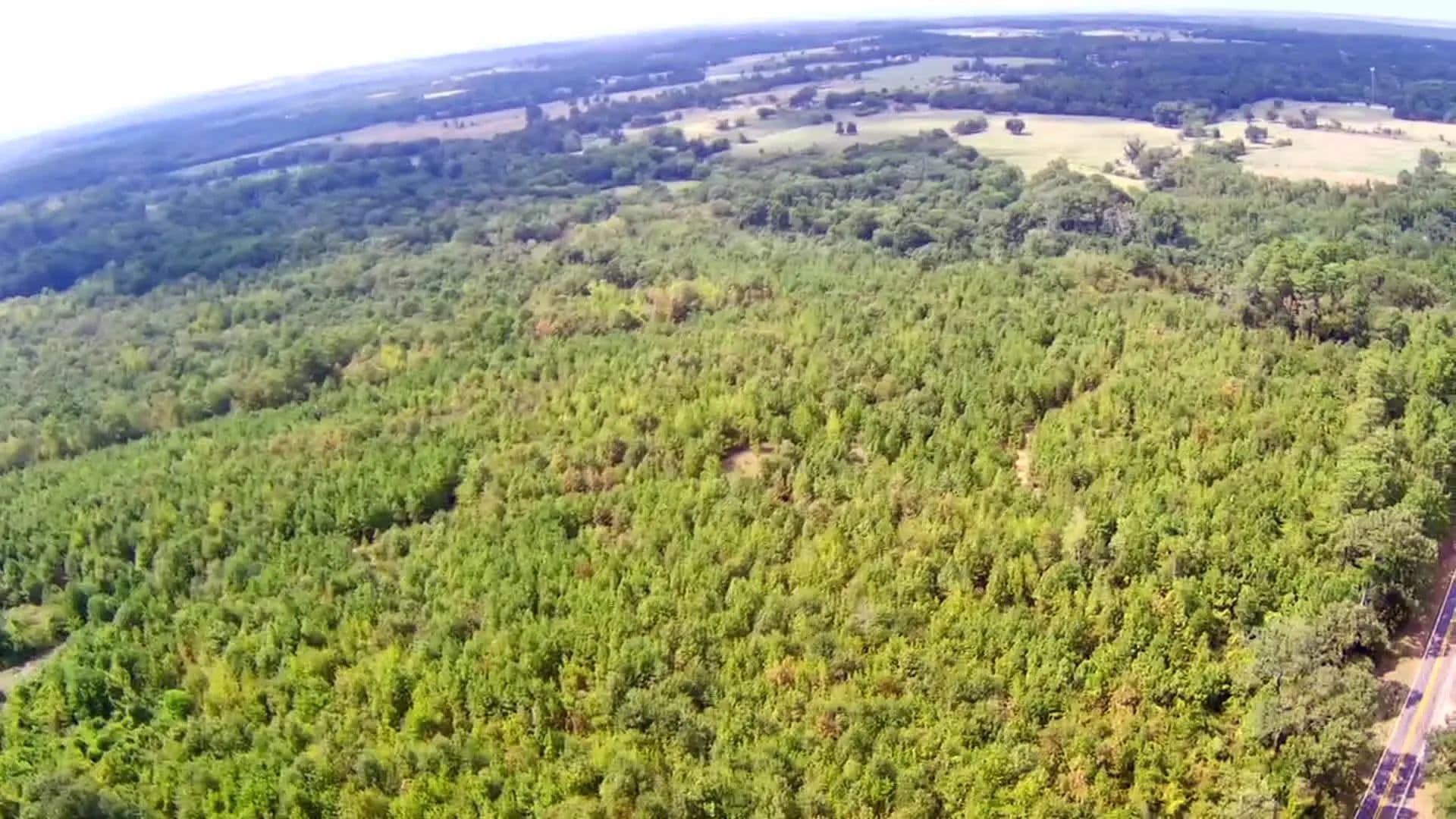 Vacant Land in Gilmer - Gilmer, Texas, 75644
