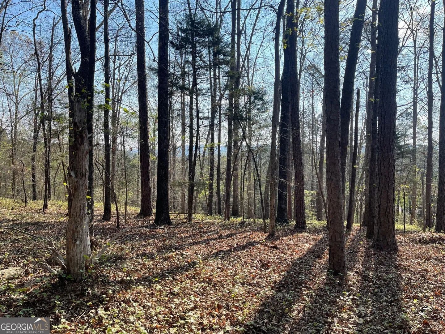 4.49 Acres of Land for Sale in Cave Spring, GA - Cave Spring, Georgia, 30124