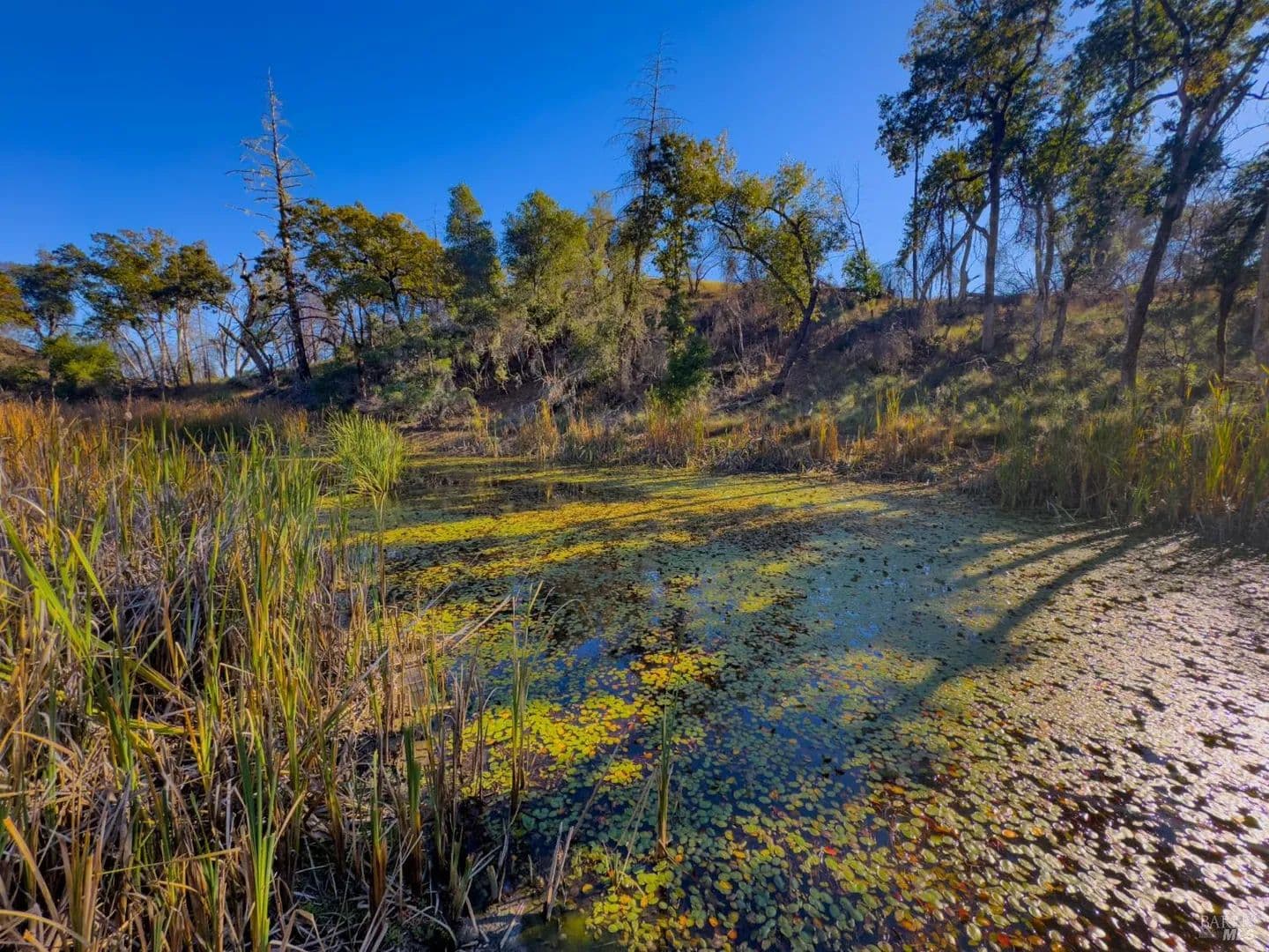 Lots & Land-Other in Willits - Willits, California, 95490