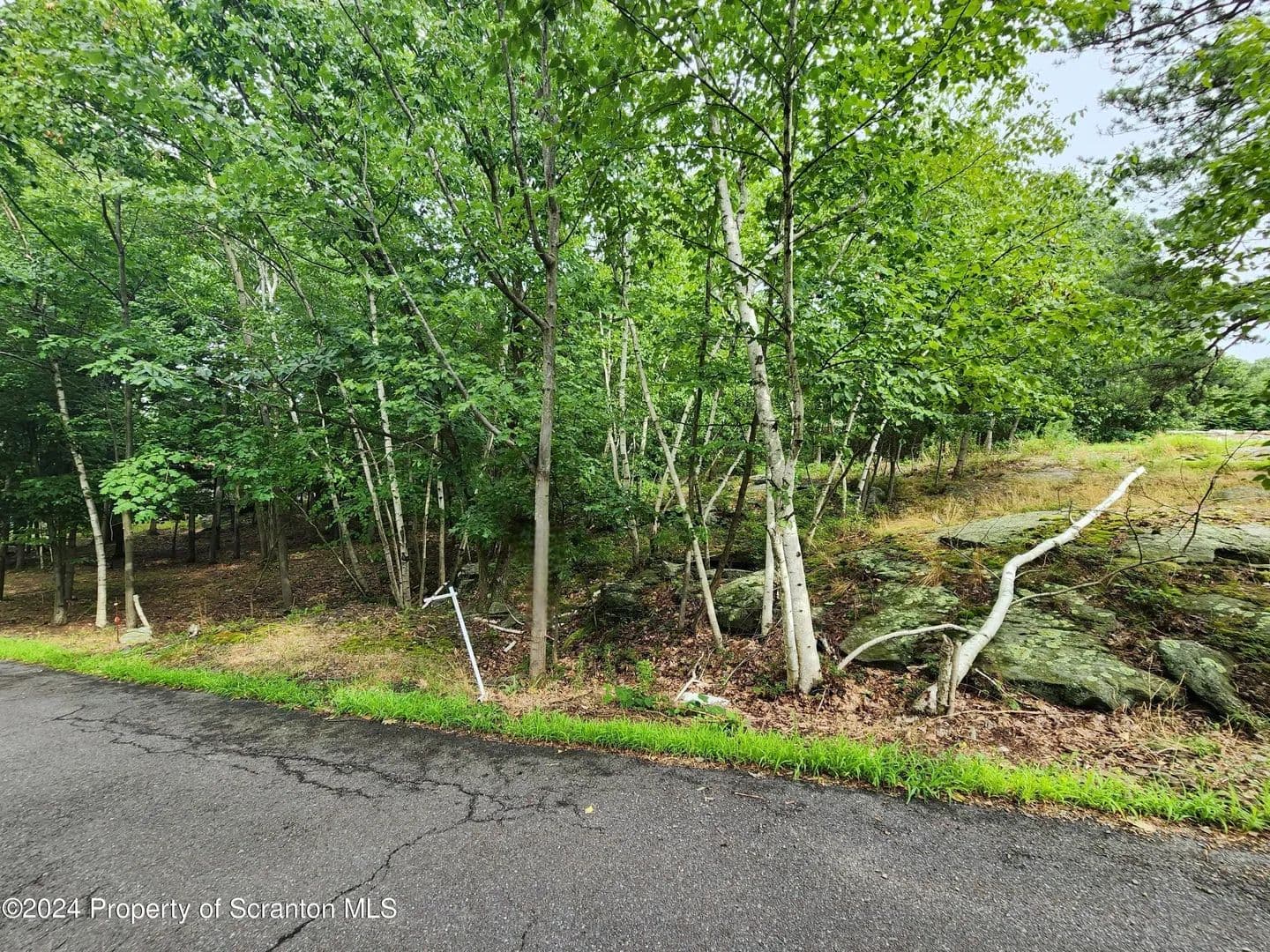 Lots & Land-Other in Dunmore - Dunmore, Pennsylvania, 18512