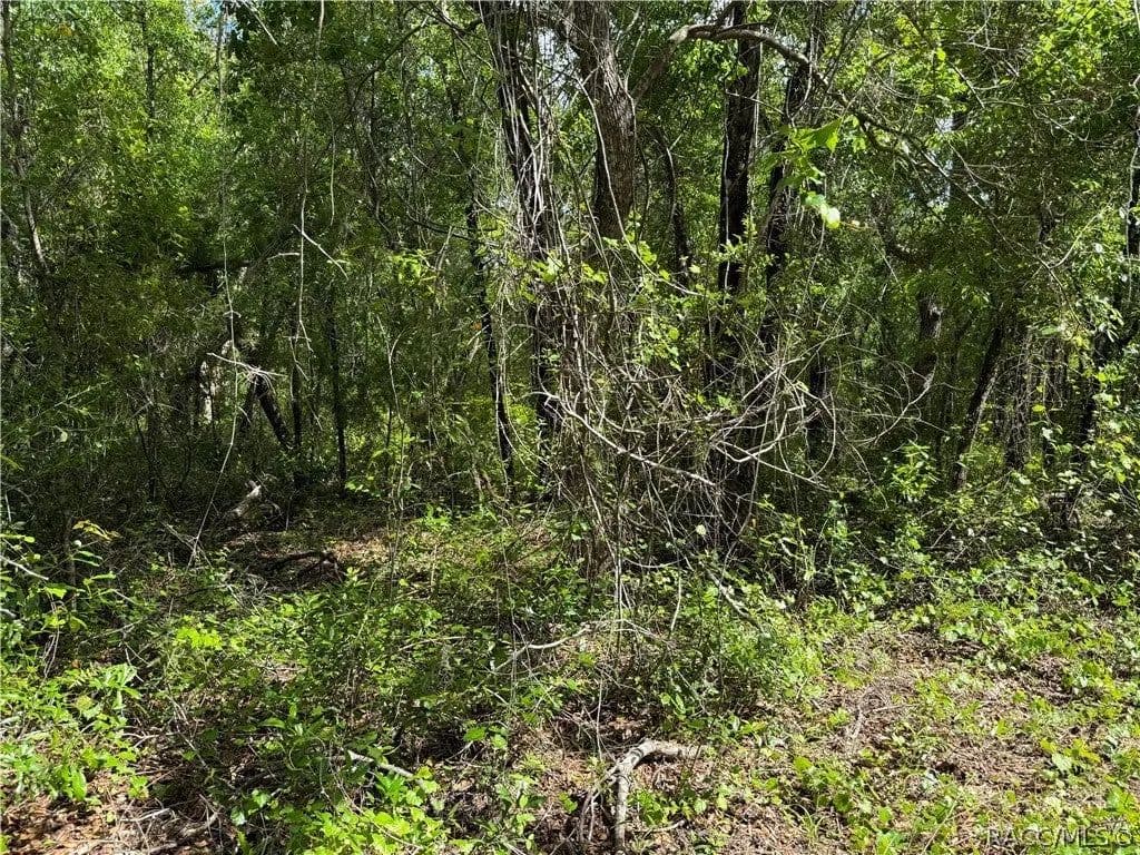 Lots & Land-Other in Inverness - Inverness, Florida, 34452