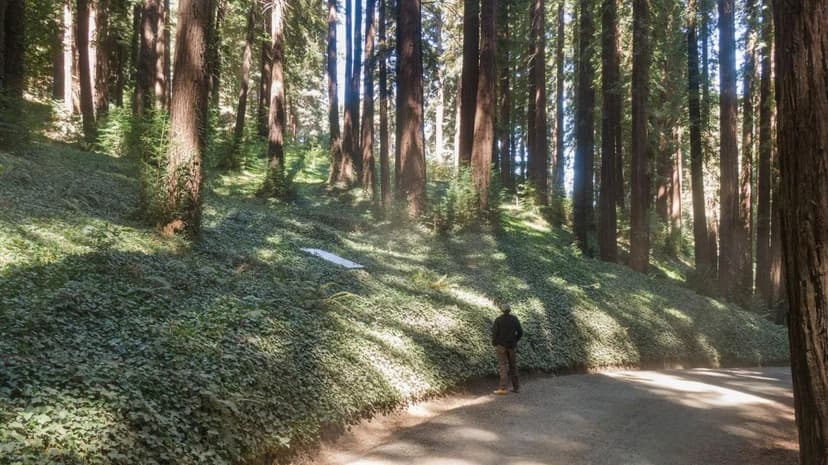 Vacant Land in Woodside