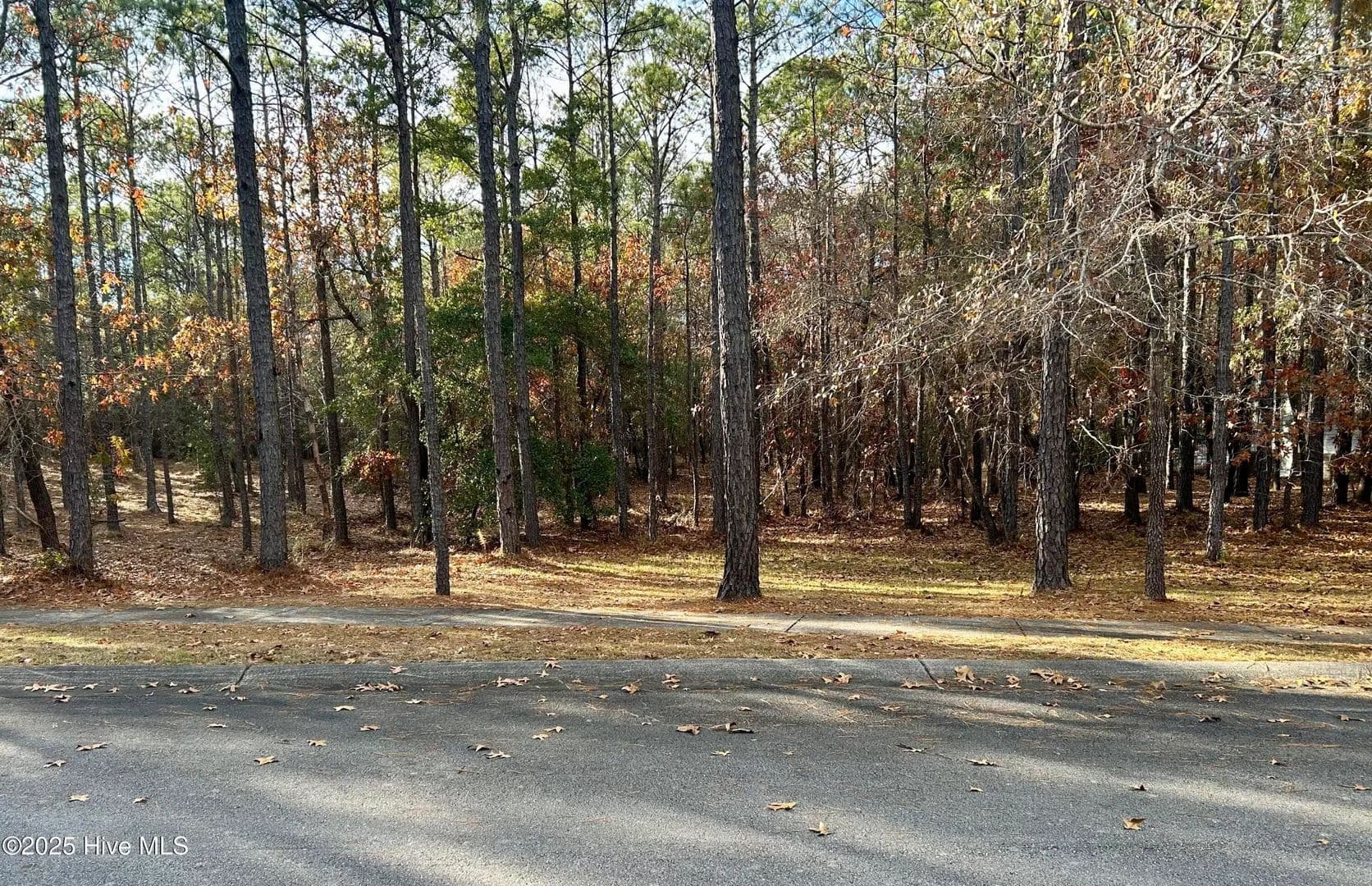 Vacant Land in Bolivia - Bolivia, North Carolina, 28422