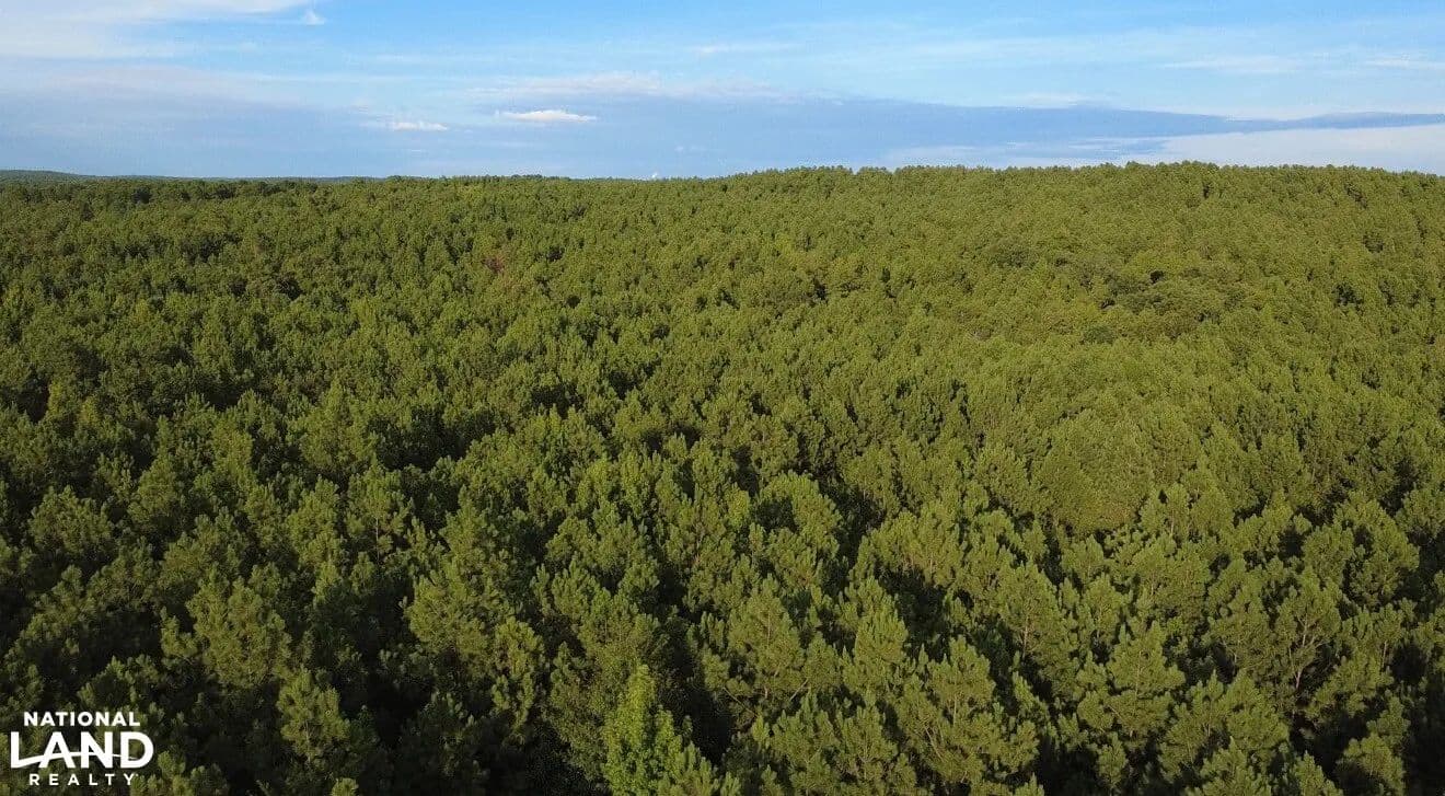 75 Acre Turkey Ridge Development Tract - Columbiana, Alabama, 35051