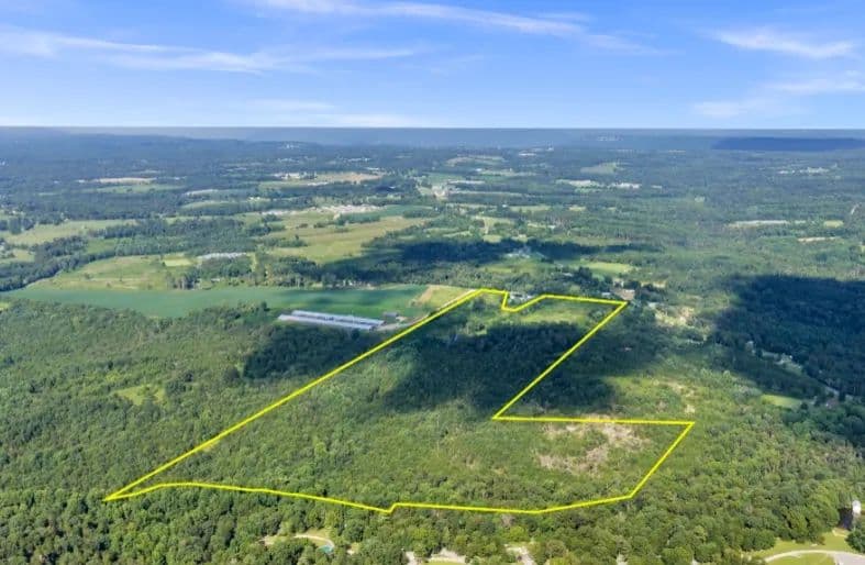 ZGT Tract 79.5 Acres - Alabama, 35981