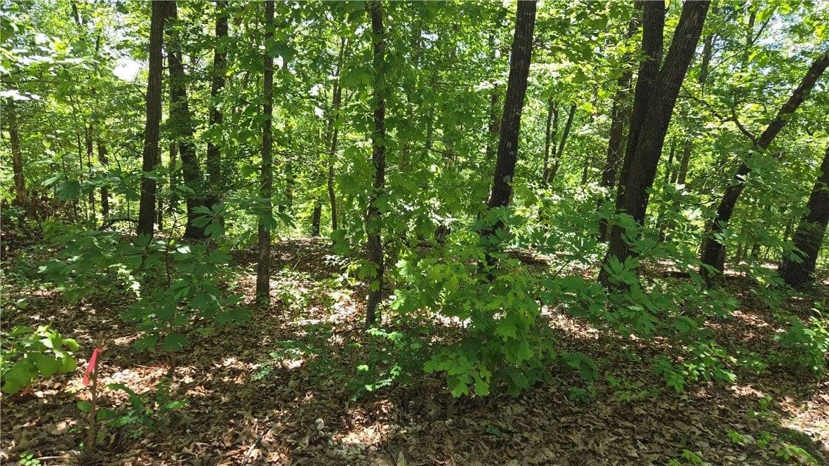 Lots & Land-Other in Bella Vista - Bella Vista, Arkansas, 72715