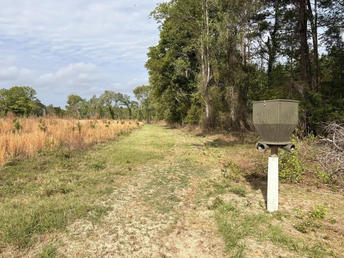 West Camp Longleaf Tract 6 - Sylvania, Georgia, 30467