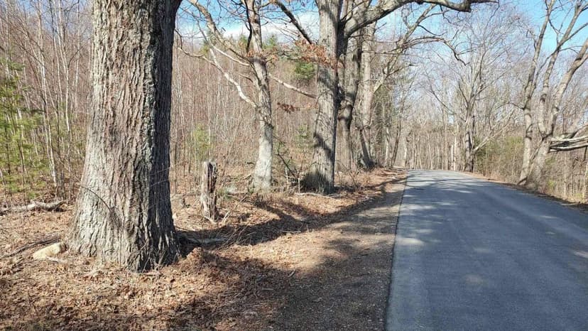 Vacant Land in New Boston