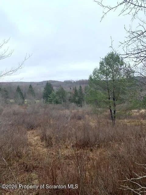 Lots & Land-Other in Little Meadows