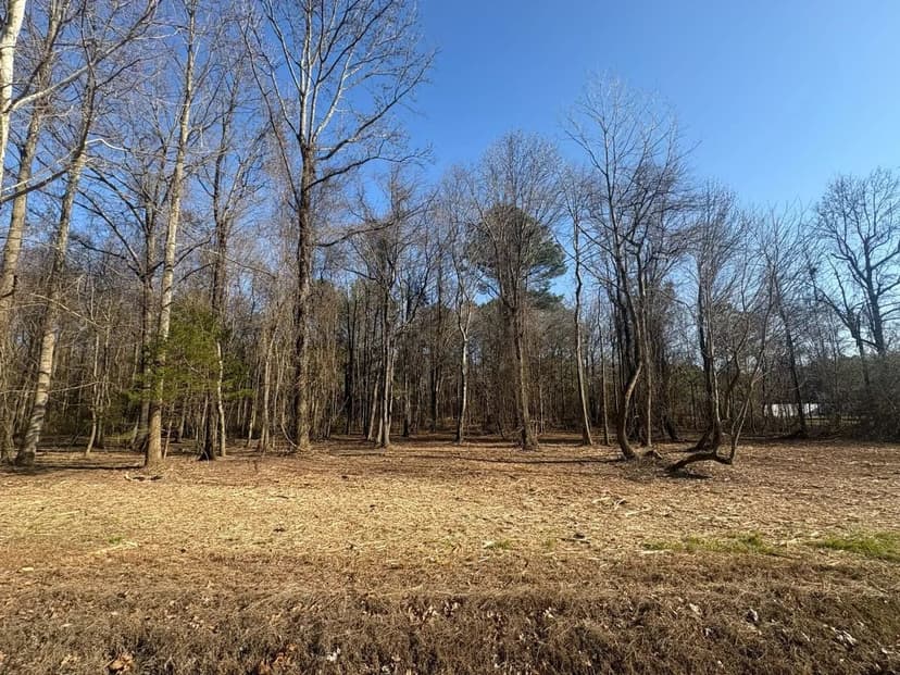 Morgan County 3.1 Acre Homesite
