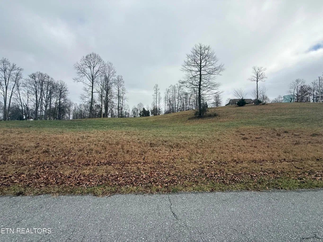 Land -Single Family Acreage in Jonesville - Jonesville, Virginia, 24263