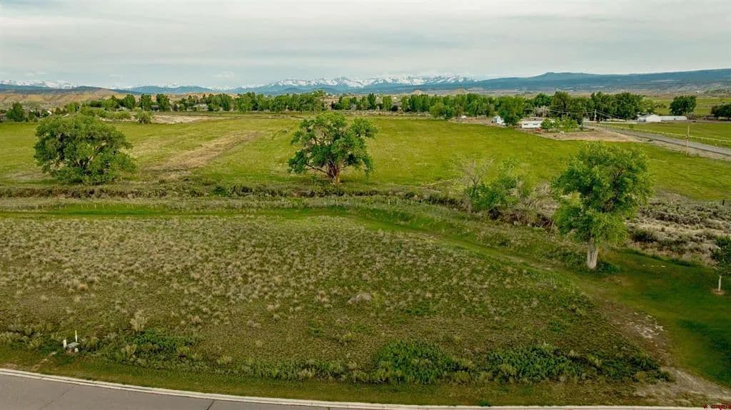 Vacant Land in Montrose - Montrose, Colorado, 81401