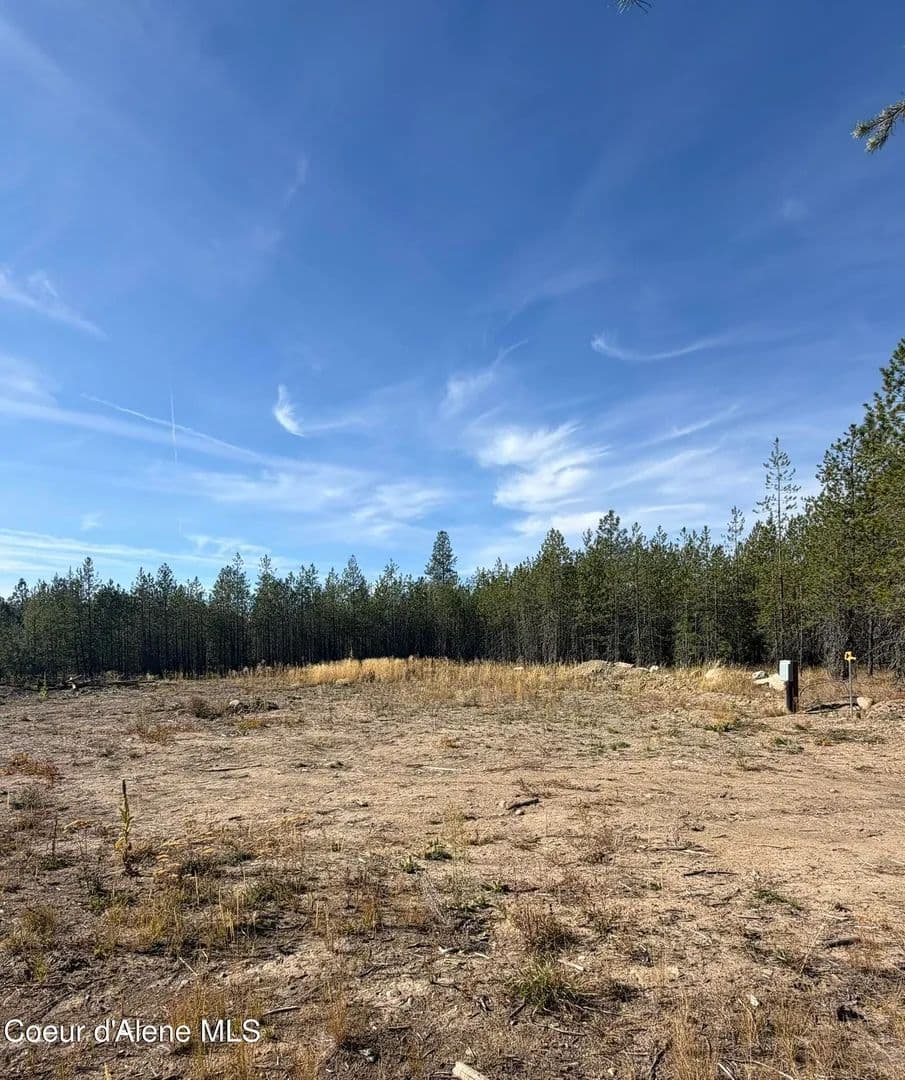 Vacant Land in Blanchard - land for sale